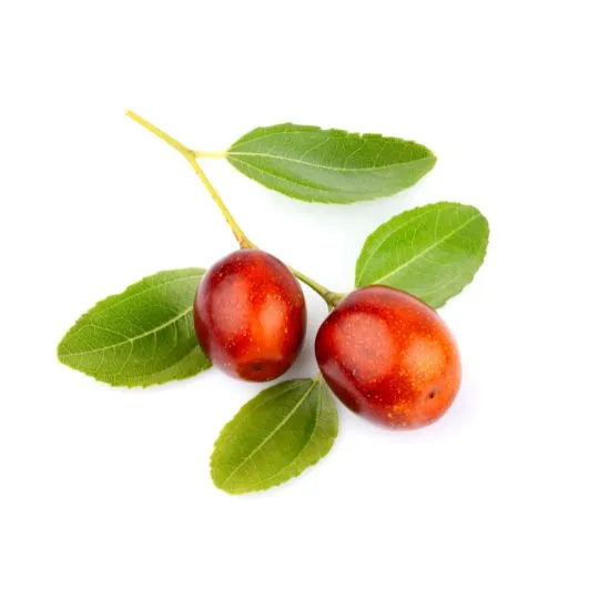 Jojoba